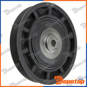 Poulie damper vilebrequin pour RENAULT | RKP-RE-006, 4223